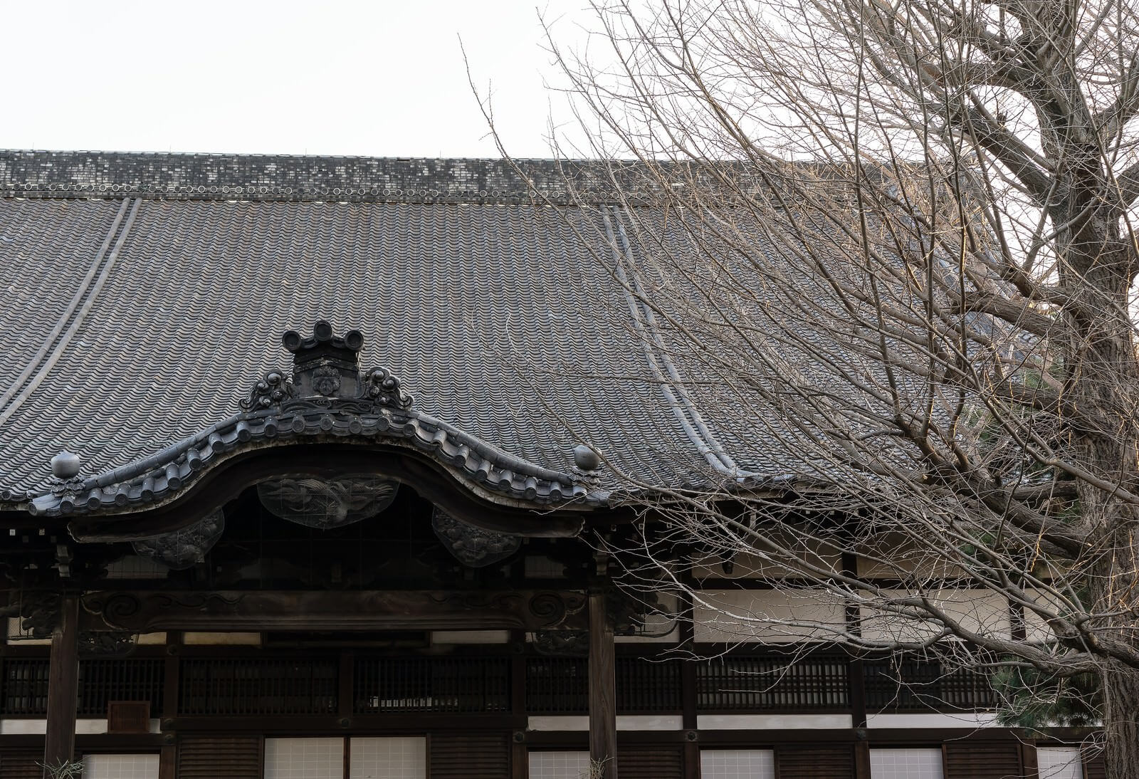 神社や寺に損害保険は必要?倒木や賽銭箱の盗難等に備える必要がある?