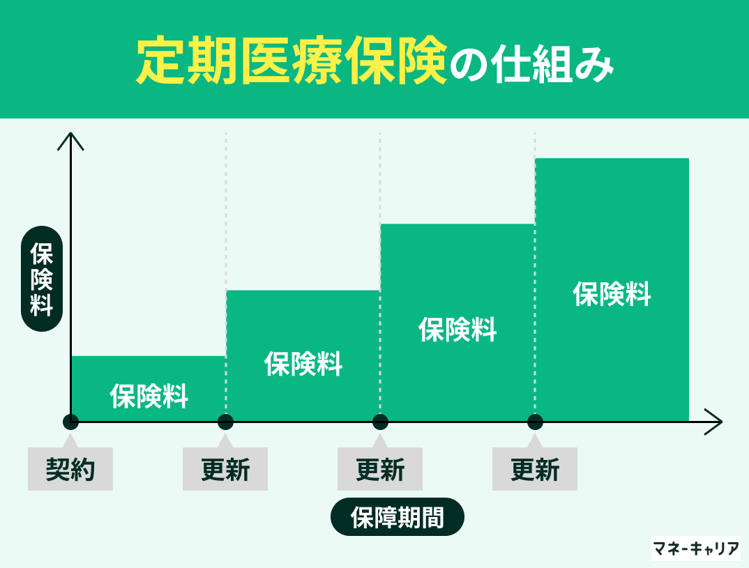 定期医療保険