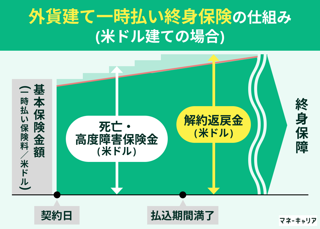 外貨建て一時払い終身保険
