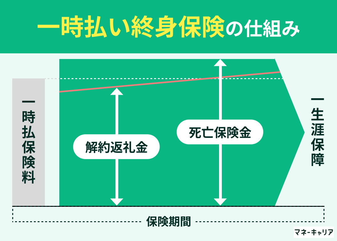 一時払い終身保険とは