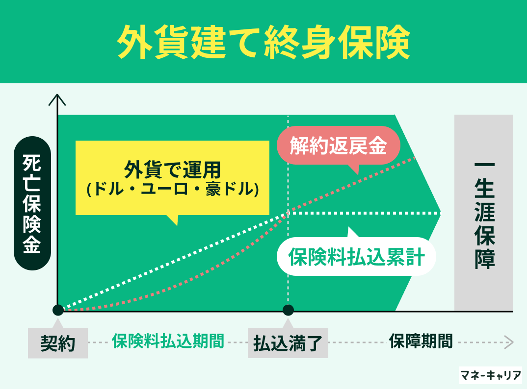 外貨建て終身保険