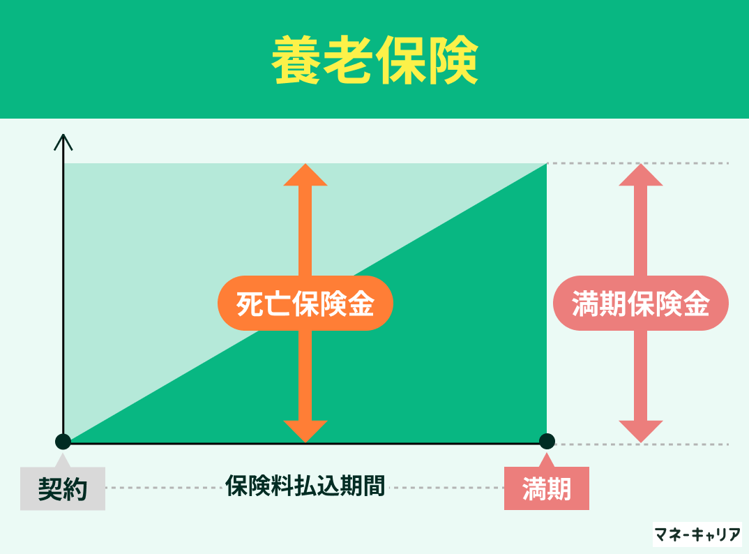 養老保険