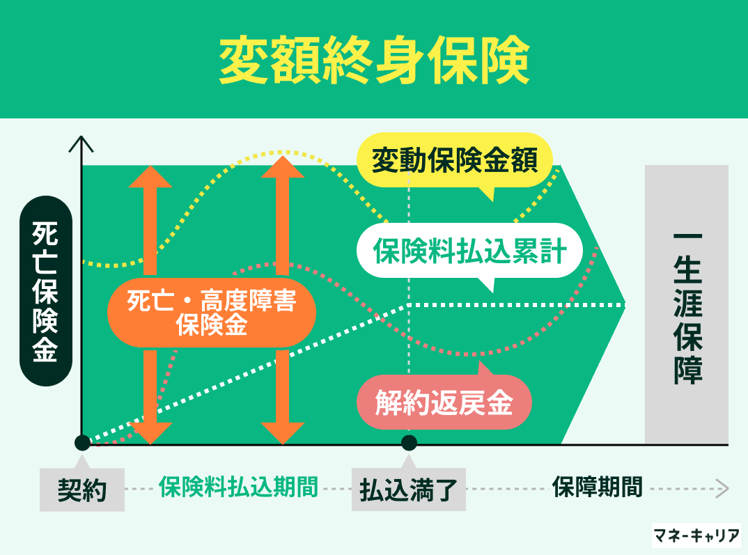 変額終身保険