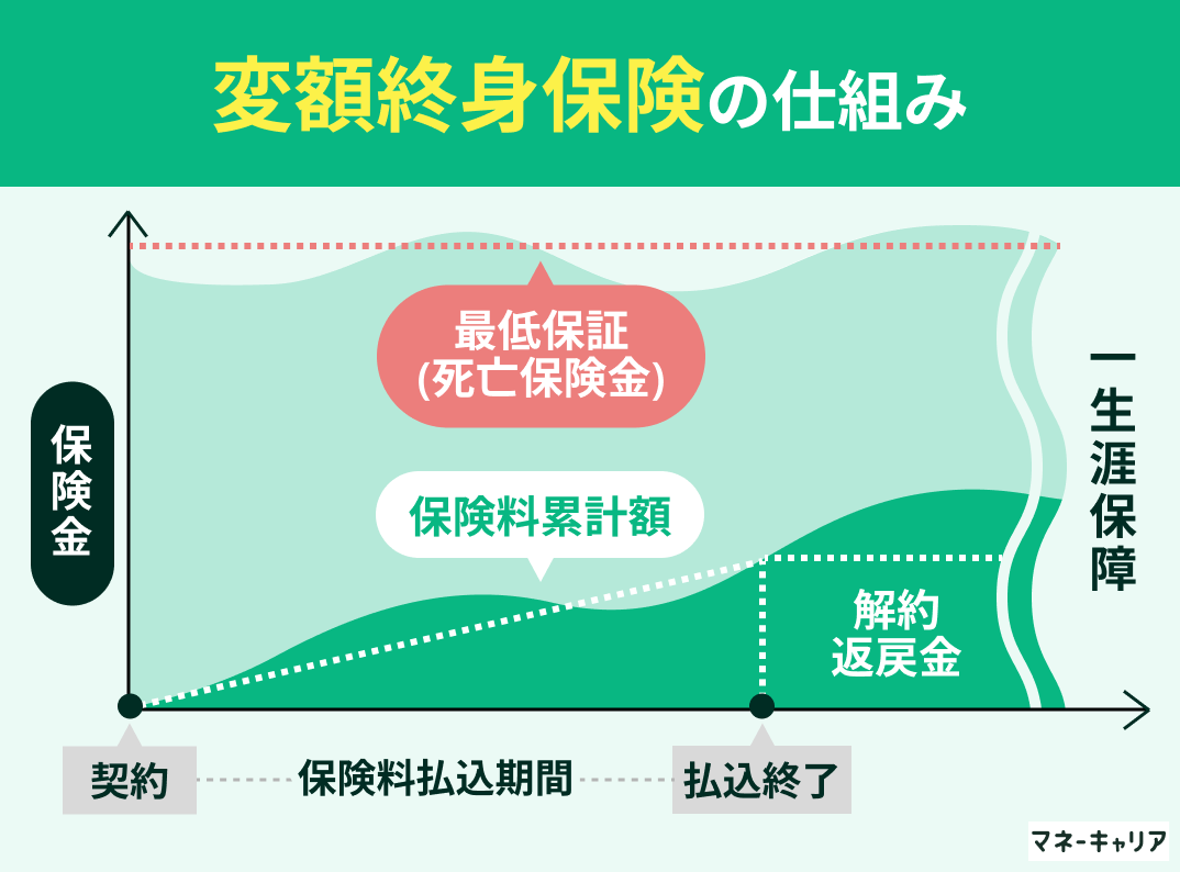 変額終身保険