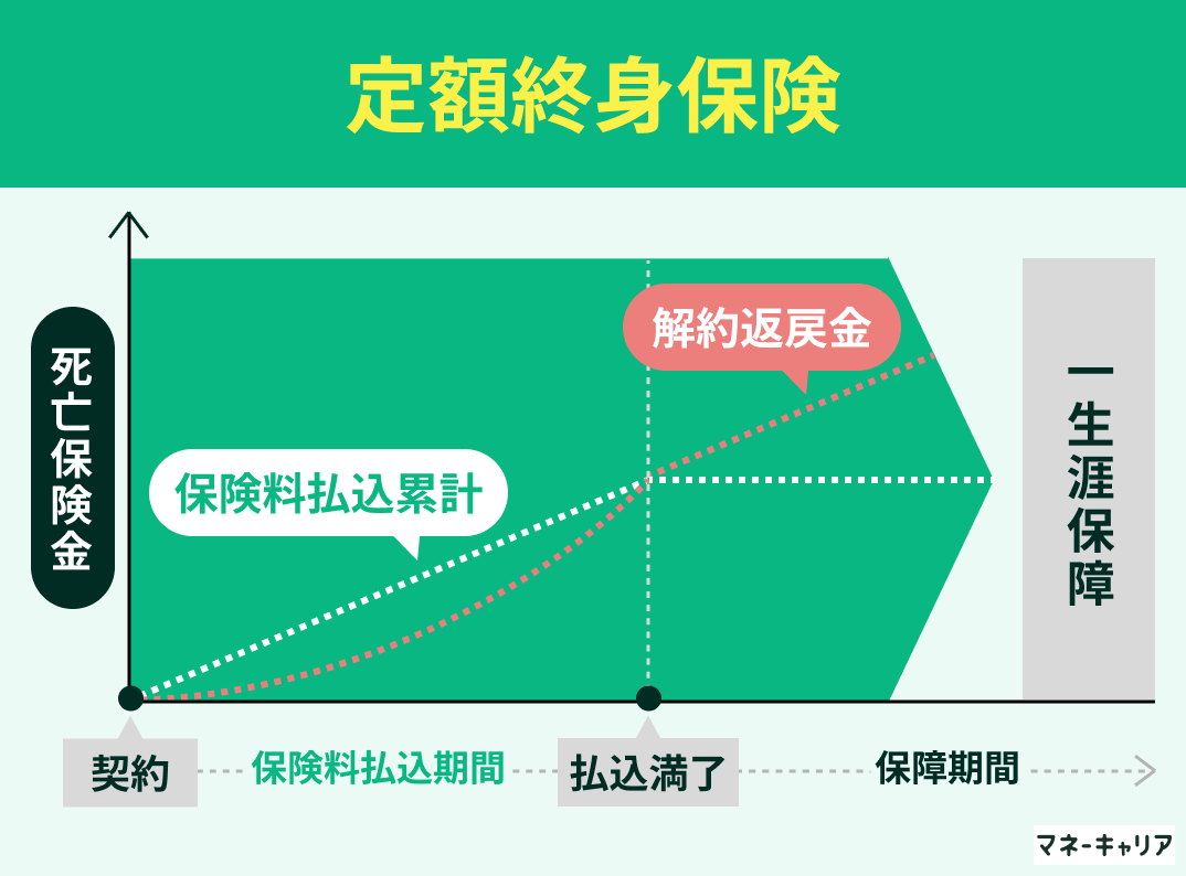 定額終身保険とは
