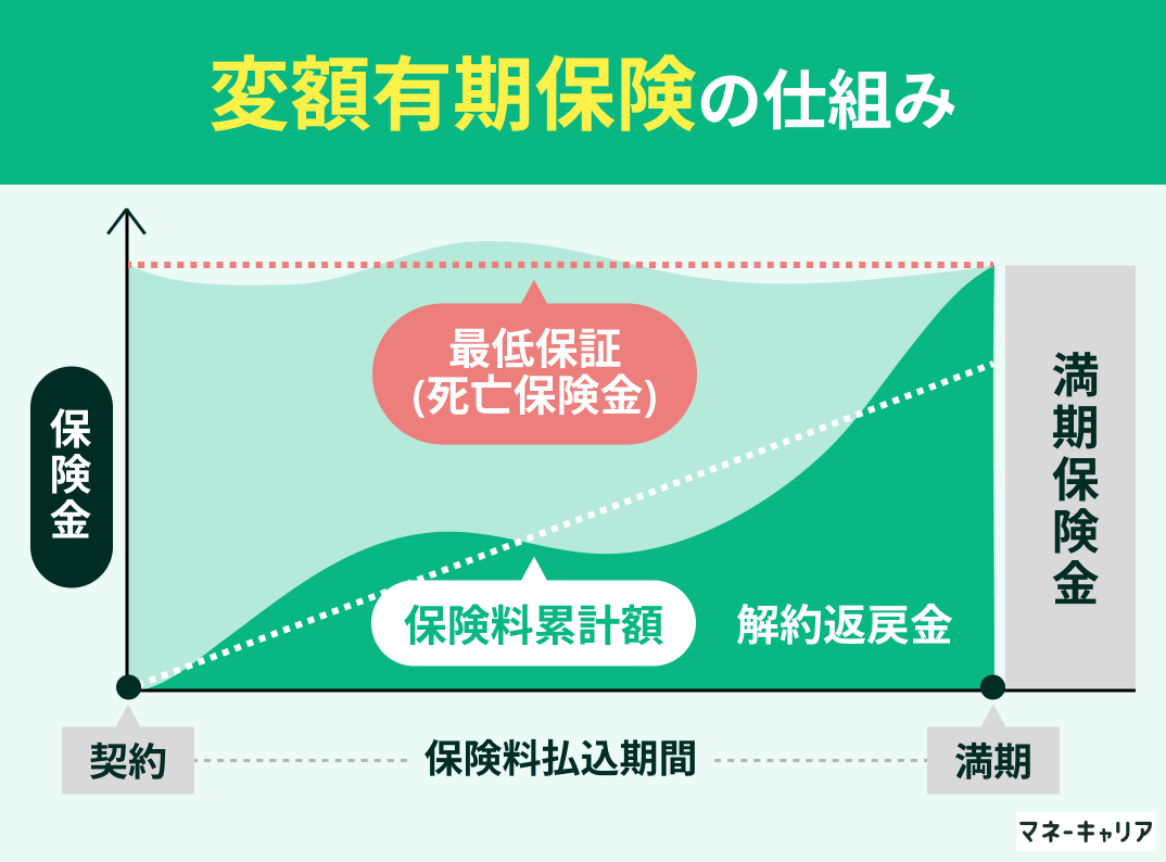 変額有期保険
